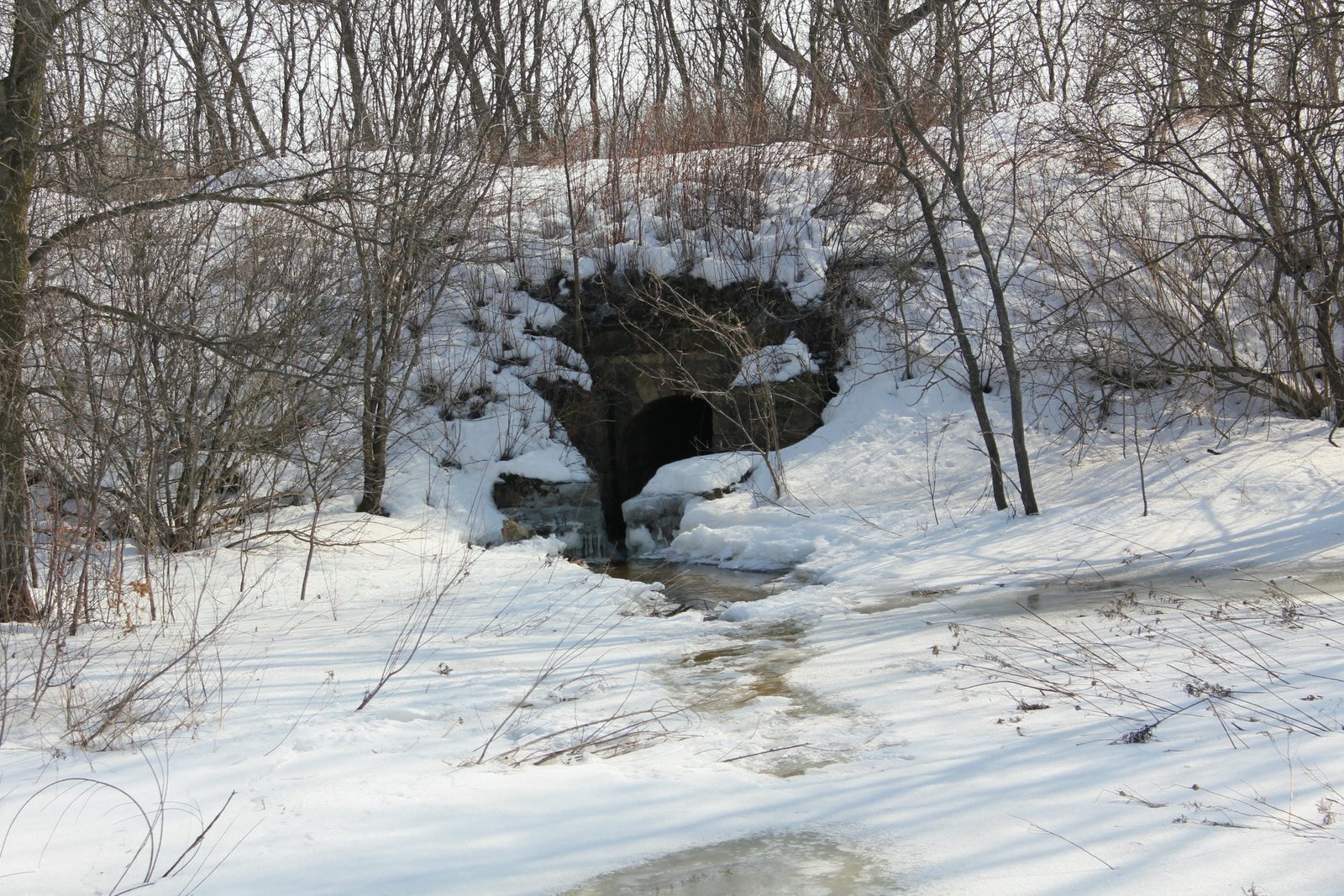 Overview, north face